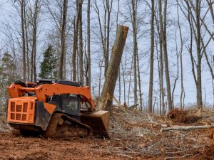Skid-Steer Loader Clearing Tree Root and Brush in Forest